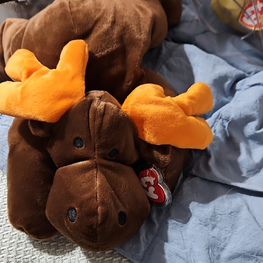 Ty Pillow Pal